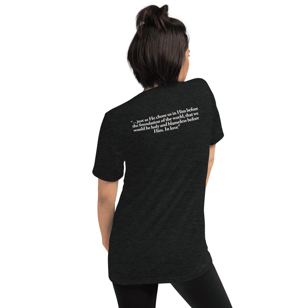 unisex-tri-blend-t-shirt-charcoal-black-triblend-back-64e62e4190159